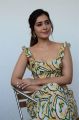 Pratiroju Pandaga Movie Actress Raashi Khanna Interview Pics