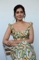 Pratiroju Pandaga Movie Actress Raashi Khanna Interview Pics