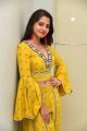 Actress Preethi Asrani Photos @ Pressure Cooker Movie Launch