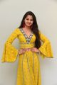 Pressure Cooker Movie Actress Preethi Asrani Photos