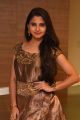 Pressure Cooker Movie Actress Preethi Asrani Images