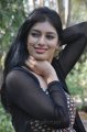 Tamil Actress Preethi Bhandari Pictures