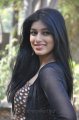 Tamil Actress Preethi Bhandari Pictures