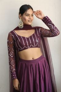 Silk Saree Movie Actress Preeti Goswami Photos