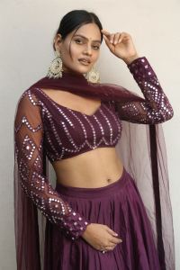 Silk Saree Movie Heroine Preeti Goswami Photos