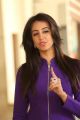 Sanjjanaa Galrani @ Prelude of Infinity Ride 2016 Press Meet Stills