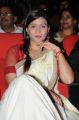 Actress Barbie Chopra @ Prema Geema Jantha Nai Movie Audio Launch Stills