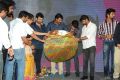 Prema Ishq Kadhal Movie Audio Launch Stills