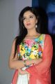 Actress Sree Mukhi @ Prema Ishq Kadhal Audio Success Meet Stills