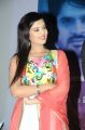 Actress Sree Mukhi @ Prema Ishq Kadhal Audio Success Meet Stills