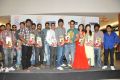 Prema Ishq Kadhal Platinum Disc Function Photos