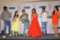 Prema Ishq Kadhal Platinum Disc Function Photos