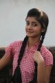 Telugu Actress Sumaya Stills from Prema Janta Movie