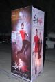 Prema Katha Chitram Audio Release Photos