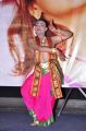 Prema Nilayam Movie Audio Release Photos