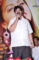 Prema Nilayam Audio Launch Photo Gallery