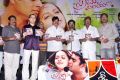 Prema Nilayam Movie Audio Release Photos