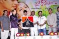 Prema Nilayam Audio Release Function Photos