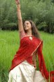 Bhavana Half Saree Photos in Prema Nilayam