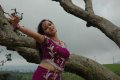 Prema Nilayam Bhavana Stills