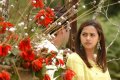 Bhavana in Churidar Cute Pics