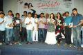 Prema Oka Maikam Movie Audio Release Function Photos