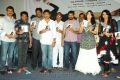 Prema Oka Maikam Movie Audio Release Photos