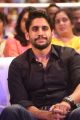 Actor Naga Chaitanya @ Premam Movie Audio Launch Stills