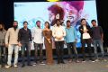 Premam Movie Audio Launch Stills