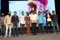 Premam Movie Audio Launch Stills