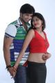 Praveen, Swetha Jadhav in Premisthe Poye Kalam Movie Photos