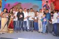 Present Love Movie Audio Launch Stills