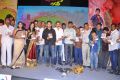 Present Love Movie Audio Launch Stills