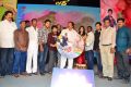 Present Love Movie Audio Launch Stills