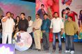 Present Love Movie Audio Launch Stills