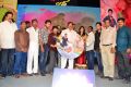 Present Love Movie Audio Launch Stills