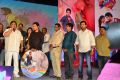 Present Love Movie Audio Launch Stills