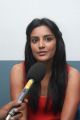 Actress Priya Anand Photos at English Vinglish Press Show