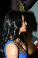 Actress Priya Anand Spicy Hot Stills in Blue Dress