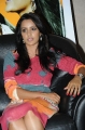 Priya Anand Cute Photo Shoot Stills