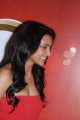 Priya Anand Hot in Red Dress