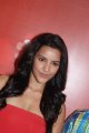 Priya Anand Latest Hot Photos