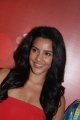 Priya Anand Hot Latest Pics