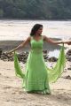 Actress Priya Anand Hot Stills in Ethir Neechal