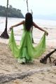 Actress Priya Anand Hot Stills in Ethir Neechal