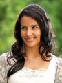 1234 Andaru Engineerle Movie Heroine Priya Anand Cute Stills