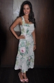 Priya Anand New Hot Pics @ 180 Tamil Movie Press Meet