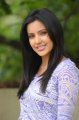 Tamil Actress Priya Anand Photo Shoot Stills