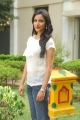 Priya Anand Latest Pics, Priya Anand Latest Stills