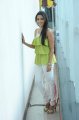 Actress Priya Anand New Pictures